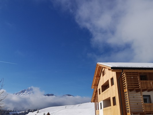 Foto esterno Appartamenti Chalet Soredlin