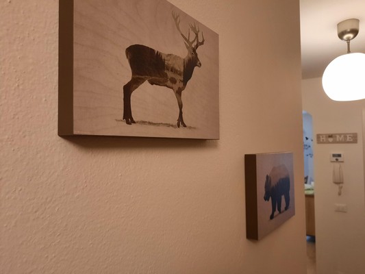 Foto der Ferienwohnung Casa Magna