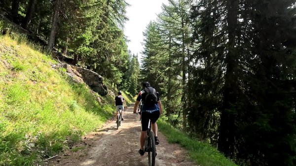 Präsentationsbild Fahrradverleih Biking Alps Roisan