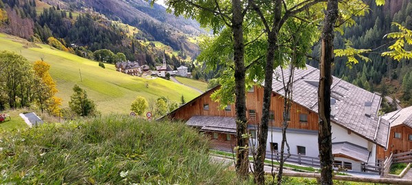 Photo exteriors Apartments Antica Dimora Bosco Verde