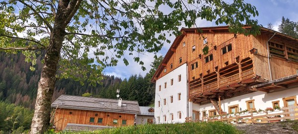 Photo exteriors Apartments Antica Dimora Bosco Verde