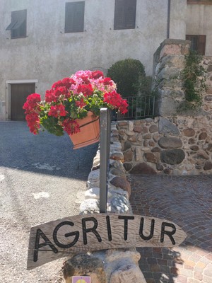 Foto esterno B&B in agriturismo La Ciasa Del Fabio