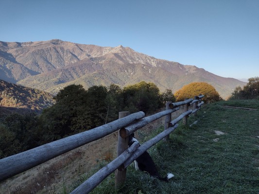 Foto del giardino Chiusa di Pesio (Alpi Cuneesi)