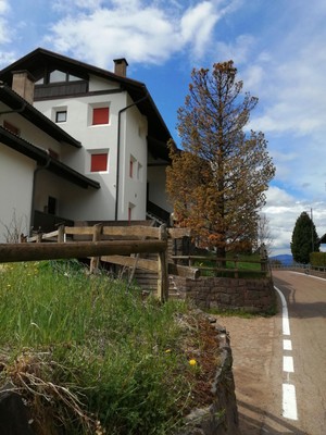 Foto esterno Appartamento Cima Undici