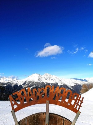 Photo of some details Borno Monte Altissimo