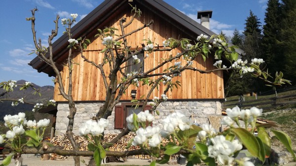 Foto esterno Azienda agricola Sore Navauce