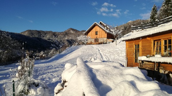 Foto esterno Azienda agricola Sore Navauce