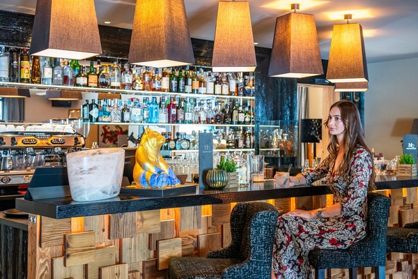 Foto del bar Hotel Montchalet