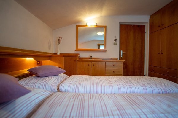 Photo of the room Apartments Vintlana
