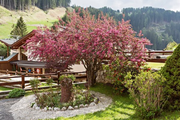 Photo of the garden Selva Gardena / Wolkenstein