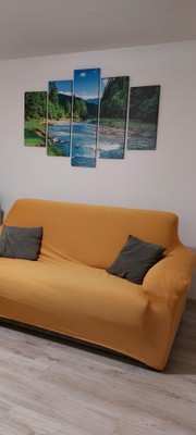 La zona giorno Appartamento Croz del Mezdi