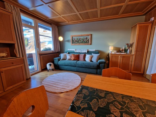 The living area Apartment Pitscheider