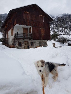 Photo exteriors Apartment in hut Chalet Val