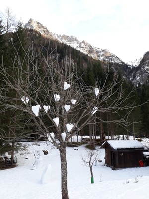 Photo gallery Canale di Agordo