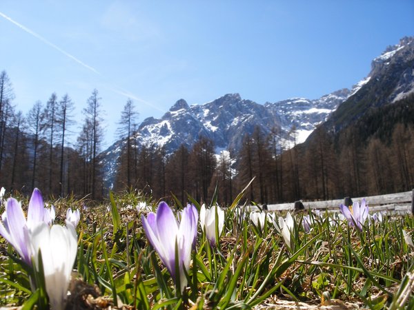 Bildergalerie Winter