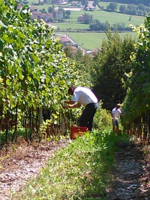 Foto del giardino Losine