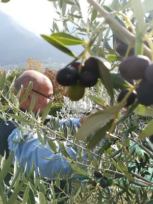 Foto del giardino Losine