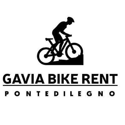 Logo Gavia