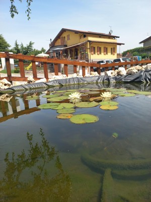 Photo exteriors Tavern San Michele