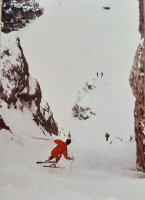 Bildergalerie