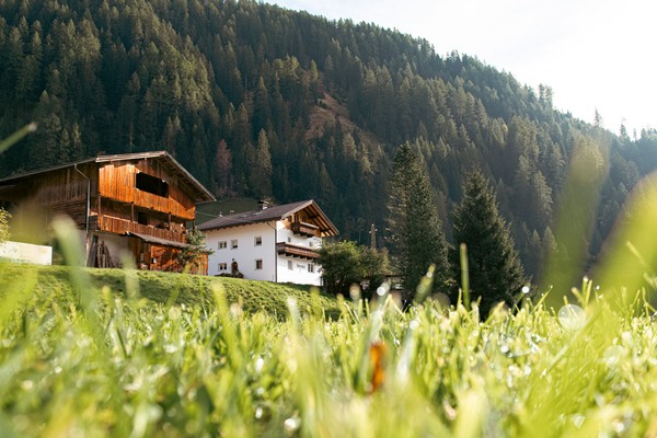 Foto Außenansicht Felda Appartements