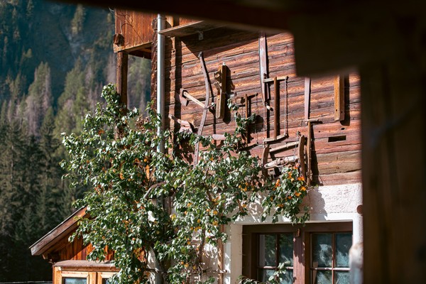 Foto esterno Felda Appartements