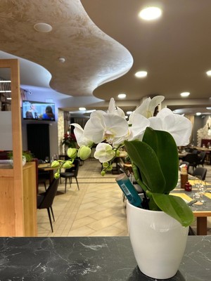 Das Restaurant Forni di Sopra (Friauler Alpen) Note di Gusto