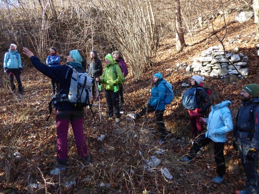 Activities Monte Civetta