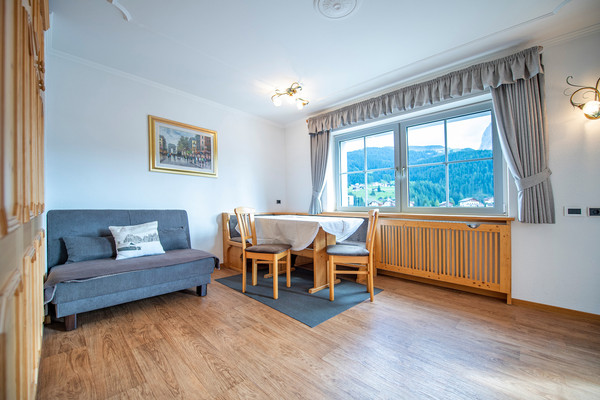 The living area Apartments Olympic