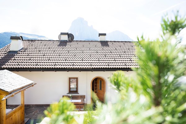 Photo exteriors in summer Rondula