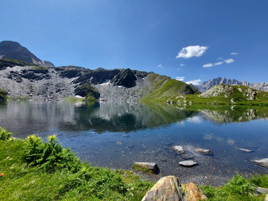 Photo gallery