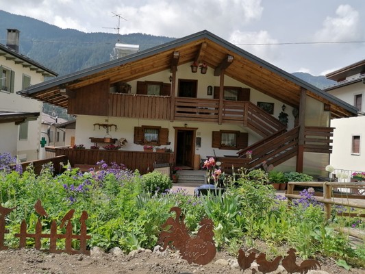 Foto esterno Appartamento Stella Alpina