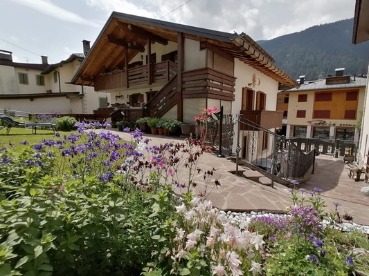 Foto esterno Appartamento Stella Alpina