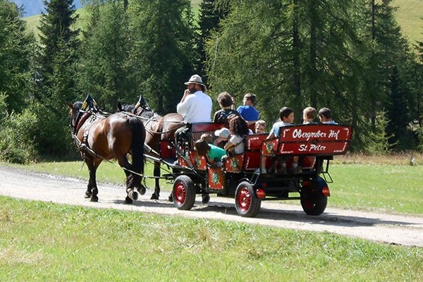 Aktivitäten Ahrntal und Tauferer Tal