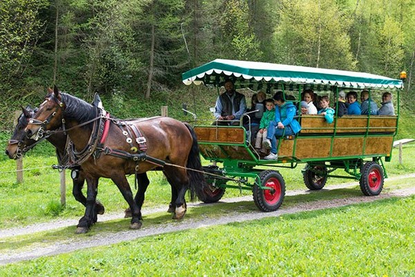 Attività Valli Aurina e di Tures