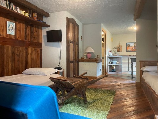 Photo of the room Apartment Le Village de Fours 2015