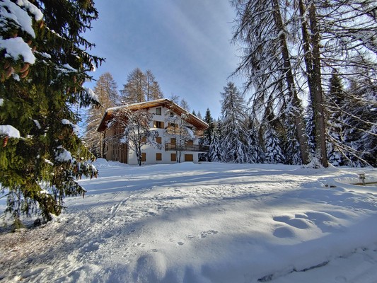 Foto Außenansicht Ferienwohnungen Residenza Larici