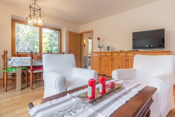 The living area Apartments Residenza Larici