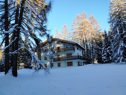 Photo exteriors Apartments Residenza Larici