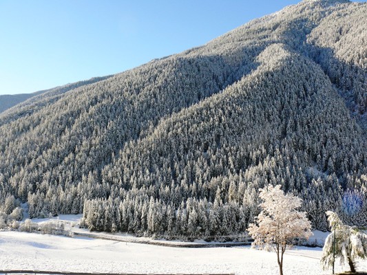 Aussicht vom Betrieb
