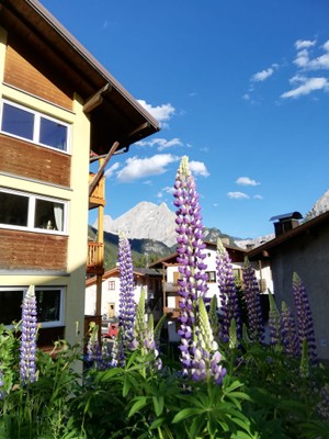 Photo exteriors Apartment Le Dolomiti a Casa Mia