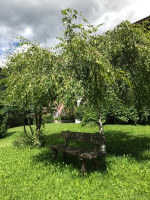 Foto del giardino Villabassa
