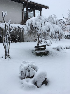 Foto del giardino Villabassa