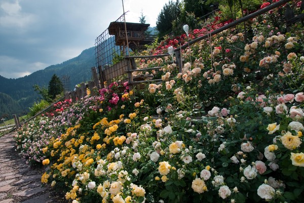 Foto del giardino Bulla (Ortisei)