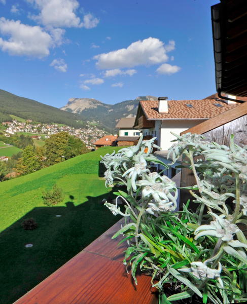 Vista dalla struttura
