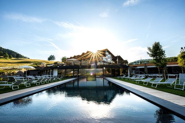 Foto estiva di presentazione Hotel Pinei Nature & Spirit