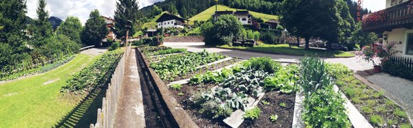 Photo of the garden Ortisei / St. Ulrich