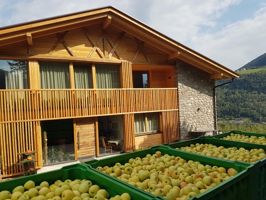 Foto esterno Appartamenti in agriturismo Pröfinghof