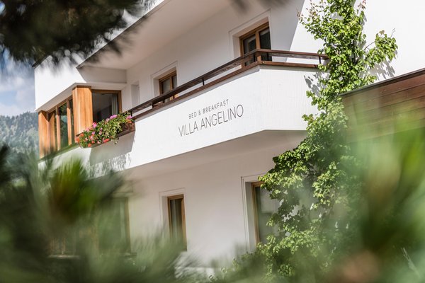 Foto Außenansicht im Sommer B&B Villa Angelino