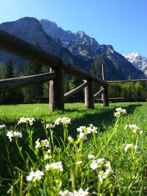 Foto vom Garten Malborghetto - Valbruna